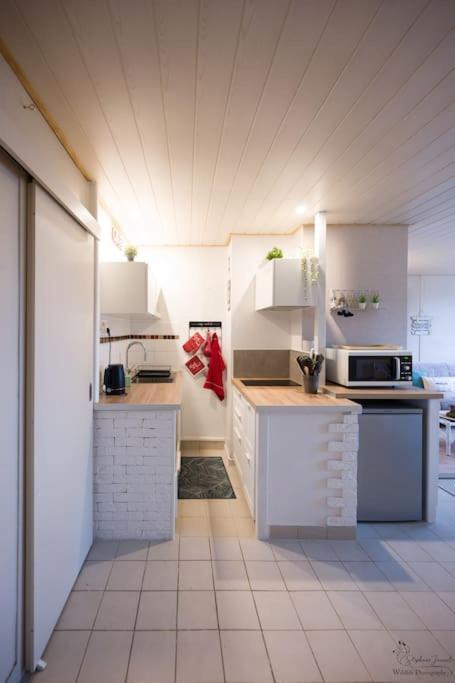 Appartement Le Nid Aux Mouettes à La Parée Preneau Extérieur photo