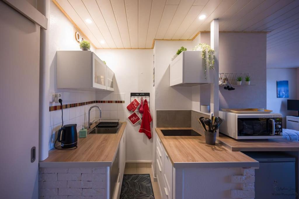 Appartement Le Nid Aux Mouettes à La Parée Preneau Extérieur photo